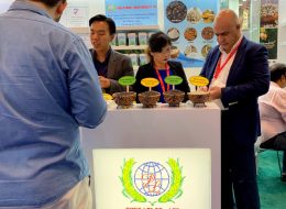 PHOTO-2019-06-29-11-21-09 PHOTO-2019-06-29-11-21-09